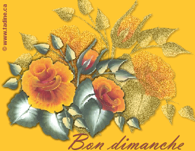 Bon dimanche