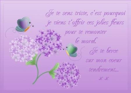 Tendresse
