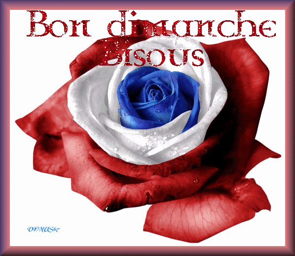 Bonjour