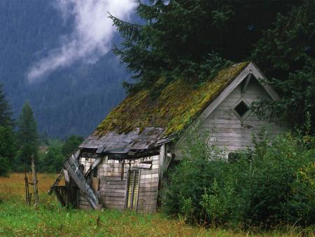 Ma cabane